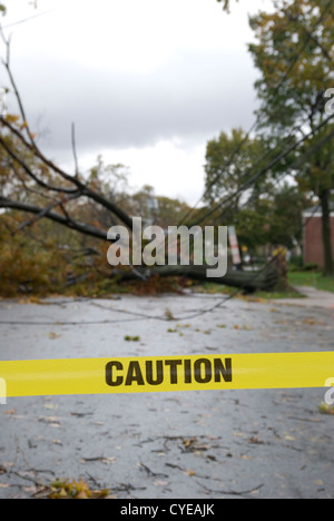 Alberi e linee di alimentazione allettate dall uragano Sandy in una nuova città di Jersey. Foto Stock