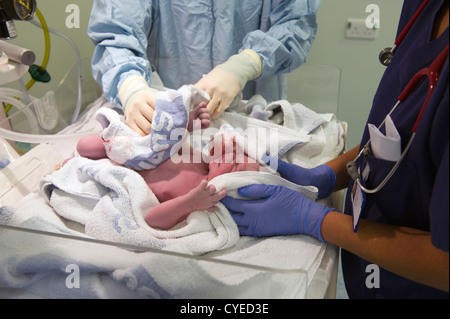 Un neonato momenti dopo che è stato erogato mediante taglio cesareo essendo frequentato da un pediatra e ostetrica Foto Stock