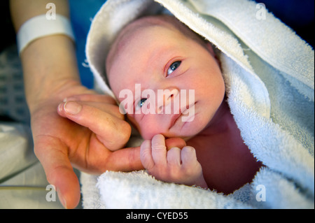 Un neonato tocca mantiene la madre per la prima volta poco dopo che essendo nato Foto Stock