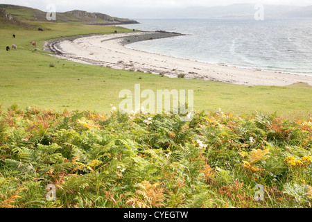 Spiagge coralline; Waternish; Isola di Skye; Scozia - UK Foto Stock