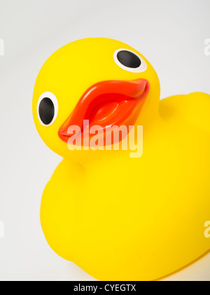 Gomma gialla Ducky giocattolo da bagno Foto Stock