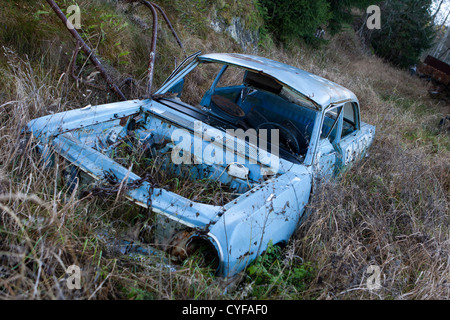Auto rottamate nei boschi Foto Stock