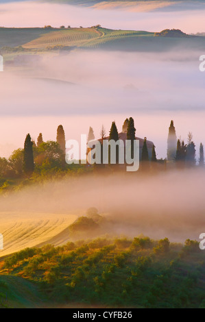 Val d'Orcia. Val d'Orcia. Nebbia di mattina. Il Belvedere all'alba. UNESCO - Sito Patrimonio dell'umanità. San Quirico d'Orcia. In provincia di Siena. Foto Stock