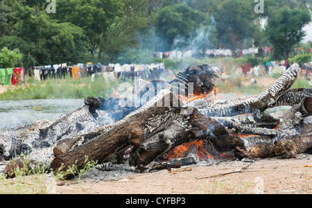 Cremating un corpo umano su un indù pira funeraria nesxt di un fiume. Andhra Pradesh, India Foto Stock