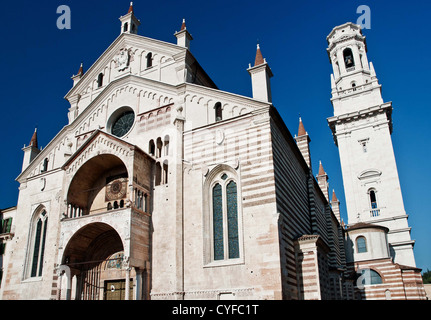 La Chiesa del Duomo di Verona, Italia Foto Stock