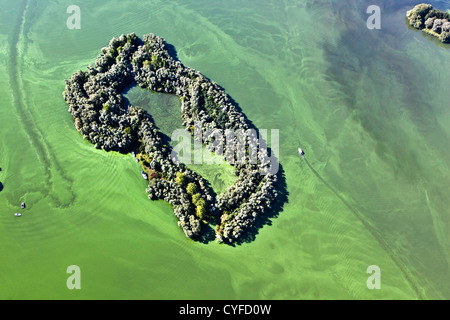 I Paesi Bassi, Maastricht, cianobatteri o alghe blu-verde il colore verde acqua in questo lago, yacht. Antenna. Foto Stock