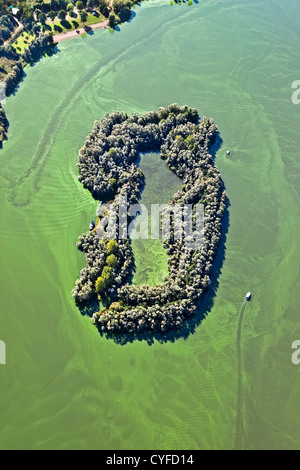 I Paesi Bassi, Maastricht, cianobatteri o alghe blu-verde il colore verde acqua in questo lago, Yacht. Antenna. Foto Stock