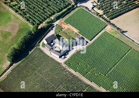 I Paesi Bassi, Maastricht, Wine estate chiamato Apostelhoeve. Antenna. Foto Stock