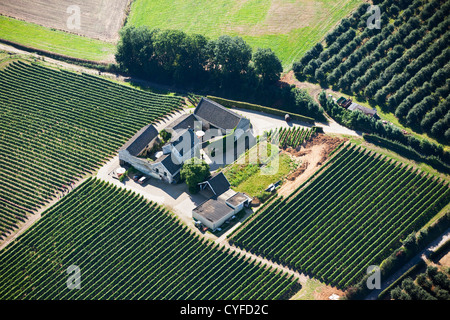I Paesi Bassi, Maastricht, Wine estate chiamato Apostelhoeve. Antenna. Foto Stock