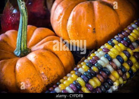 Autunno colpo di scena in studio, still life Foto Stock