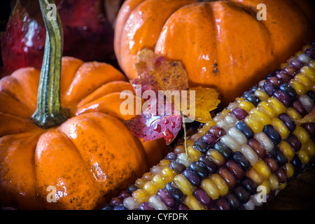 Autunno colpo di scena in studio, still life Foto Stock