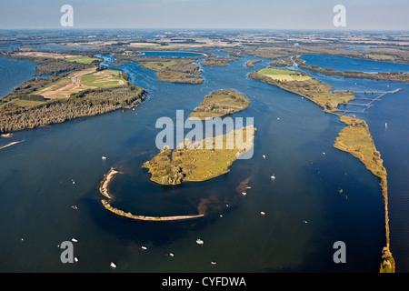 I Paesi Bassi, Werkendam, Biesbosch National Park. Antenna. Foto Stock