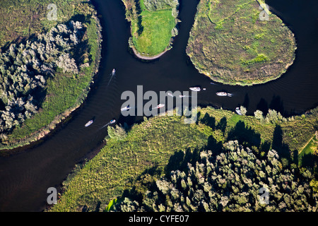 I Paesi Bassi, Werkendam, Biesbosch National Park. Antenna. Foto Stock