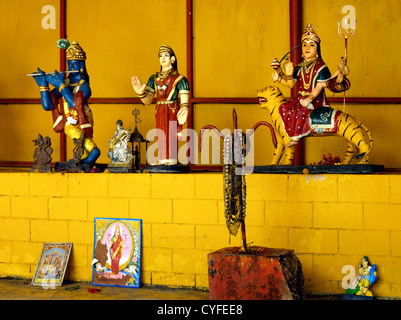 Medine Maurizio divinità Indù Durga Krishna Saraswati Hanuman e Lakshmi e Kali in Tamil tempio indù per lavoratori di canna da zucchero di Tantric de Maha Kali Tookay tempio Foto Stock