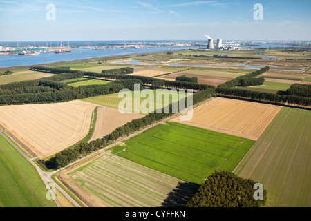 I Paesi Bassi, Nieuw Namen, Polder chiamato Hertogin Hedwigepolder vicino al fiume Westerschelde. Area industriale di Anversa. Antenna. Foto Stock