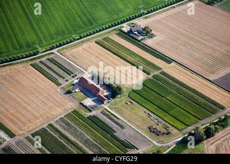 I Paesi Bassi, Kloosterzande, Paese lato. Le aziende agricole e terreni agricoli. Antenna. Foto Stock