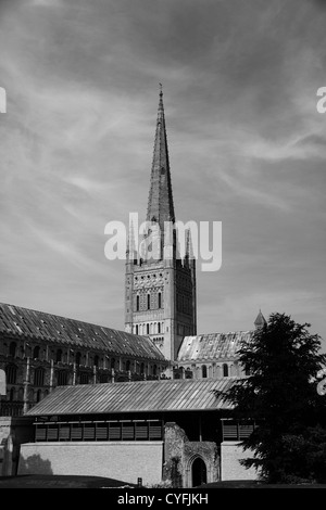 Bianco e Nero Estate vista di Norwich Cathedral e Norwich City, Norfolk, Inghilterra, Regno Unito Foto Stock