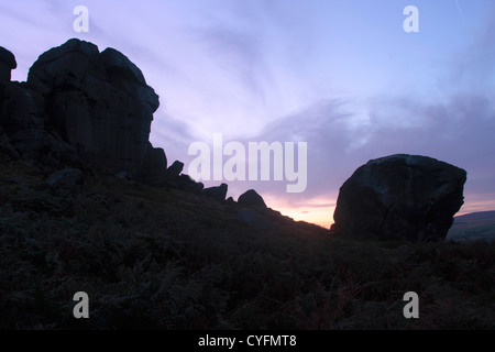 Mucca e vitello formazione di roccia, ilkely moor, wharfedale, West Yorkshire, Inghilterra, Regno Unito, settembre Foto Stock