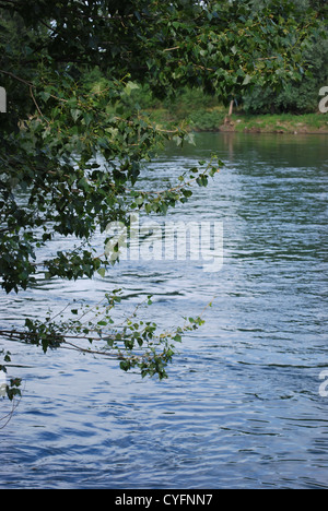 Tranquillo fiume Adda in una giornata di sole, Lombardia, Italia Foto Stock