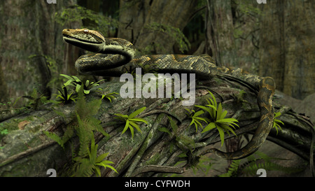 3d illustrazione del verde serpente python in acqua di palude Foto Stock