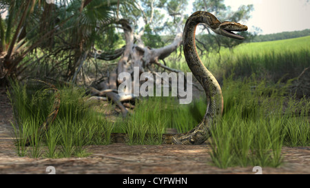 3d illustrazione del verde serpente python in acqua di palude Foto Stock