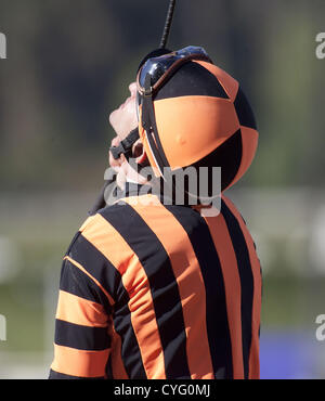 Nov. 3, 2012 - Arcadia, CALIFORNIA, STATI UNITI D'AMERICA - ockey Ramon Dominguez su Little Mike vince il Breeders' Cup Turf a Santa Anita Park il 3 novembre 2012 in Arcadia, California.ARMANDO ARORIZO/PI (credito Immagine: © Armando Arorizo/Pi/Prensa Internacional/ZUMAPRESS.com) Foto Stock