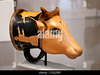 Testa di vacca rhyton in Terracotta vaso per libagioni o bere la peste 460 BC greco Terracotta attico 14,6 cm Foto Stock