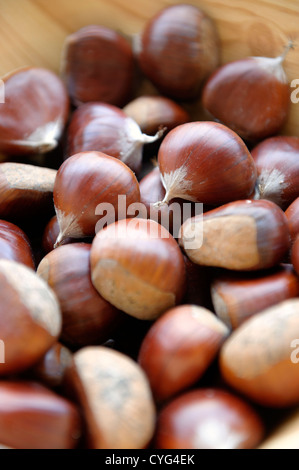 Castagne Foto Stock