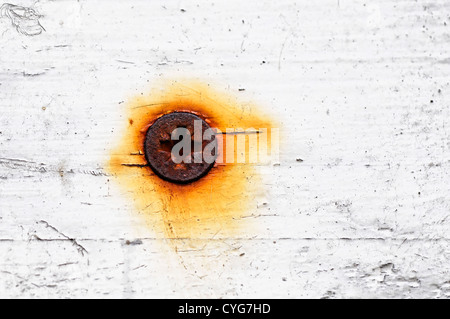Vite arrugginito in bianco di un pannello di legno Foto Stock
