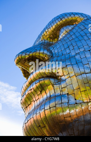 La faccia di Wigan, acciaio inossidabile alto 5.5m. Pannelli di acciaio altamente riflettenti scultura, Wigan, Greater Manchester, Inghilterra, UK Foto Stock