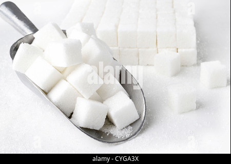 Scoop di cubetti di zucchero su sfondo bianco Foto Stock