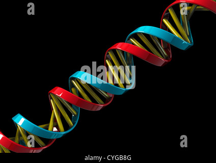 La doppia elica del DNA modello su sfondo nero - 3D render - Concetto di immagine Foto Stock