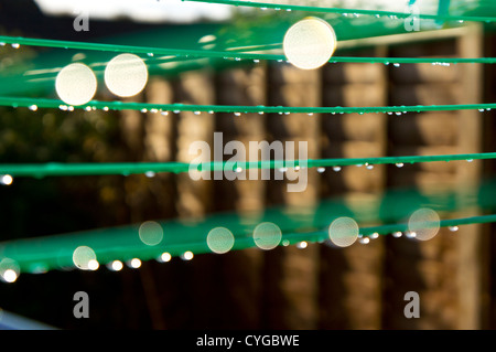 Una vista astratta di un Rotary linea di lavaggio in un giardino suburbano con gocce di pioggia aggrappati alle linee. Foto Stock