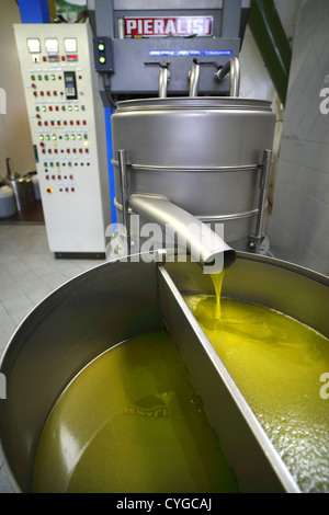Premere prima l'olio d'oliva prodotte da un olificio nella regione Abruzzo d'Italia. Foto Stock
