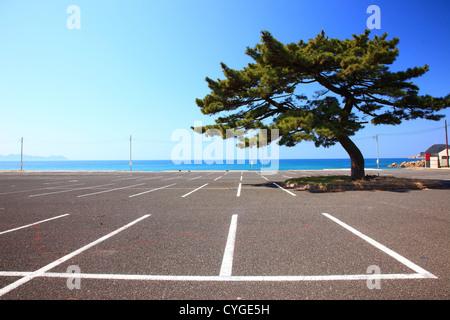 Spiaggia di Mihama, Prefettura di Fukui Foto Stock