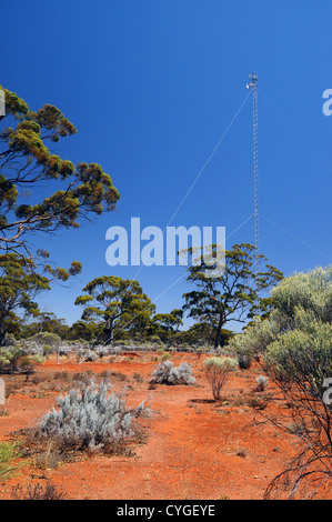 Torre di flusso di scambio di misurazione delle emissioni di gas a effetto serra presso il Great Western Woodlands Supersite, Credo Stazione, Australia occidentale Foto Stock