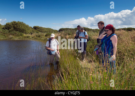 Steve Jones; Windmill fattoria; Wildlife Trust Reserve; Cornovaglia; Regno Unito Foto Stock