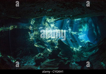 Cenote Kukulkan, Tulum (Playa del Carmen, Yucatan, Messico Foto Stock