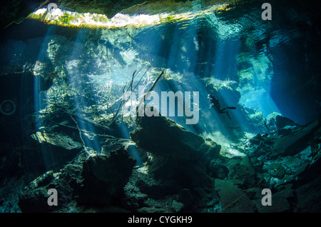 Cenote Kukulkan, Tulum (Playa del Carmen, Yucatan, Messico Foto Stock