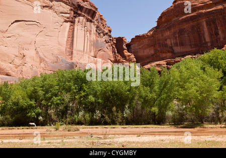 Vista dal piano del canyon in Canyon De Chelly, Arizona, Stati Uniti d'America Foto Stock