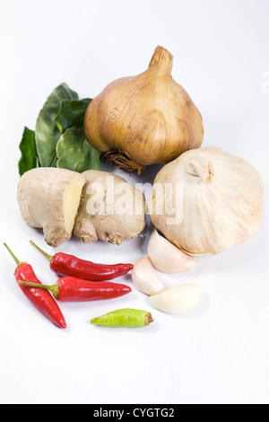 Una selezione di prodotti freschi ed essiccati le erbe aromatiche e le spezie contro uno sfondo bianco. Foto Stock