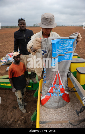 Africa Angola Malanje Angola Malange PAC agroindustriale Polo de Capanda Pietra Nera Farm 20.000 ettari di azienda agricola di investitore cinese CITIC e agenzia angolian GESTERRA la semina del mais c...