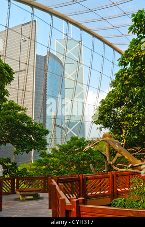 Interno, Edward Youde voliera, Hong Kong Park, Hong Kong Foto Stock