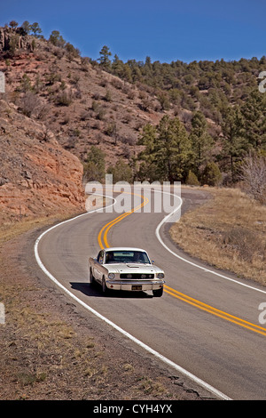 350 Shelby Mustang sulla HWY 180 New Mexico Foto Stock