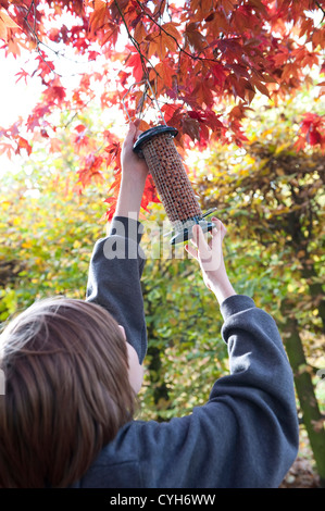 Giovane maschio boy hanging bird feeder su albero giardino Foto Stock