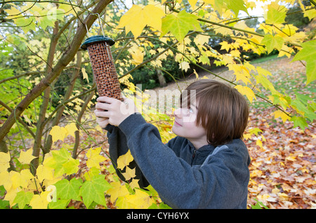 Giovane maschio boy hanging bird feeder su albero giardino Foto Stock