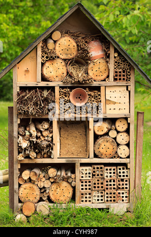 Un rifugio per gli insetti // nichoir à insectes Foto Stock