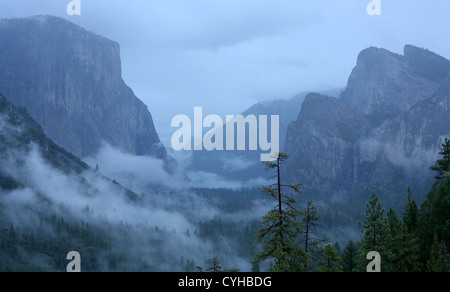 Tempesta di clearing El Capitan Yosemite Valley, il Parco Nazionale di Yosemite Foto Stock