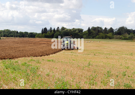 Trattore verde aratro campo agricolo in autunno e in molte cicogne in cerca di cibo. Foto Stock