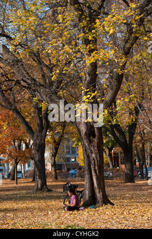 Park Outremont in Outremont Montreal Canada Foto Stock